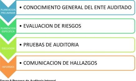 Figura 9 Proceso de Auditoría Integral 