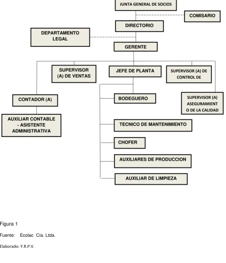 Figura 1 