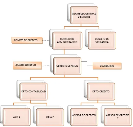 Figura 1. Estructura orgánica Simbología                       Línea de autoridad 