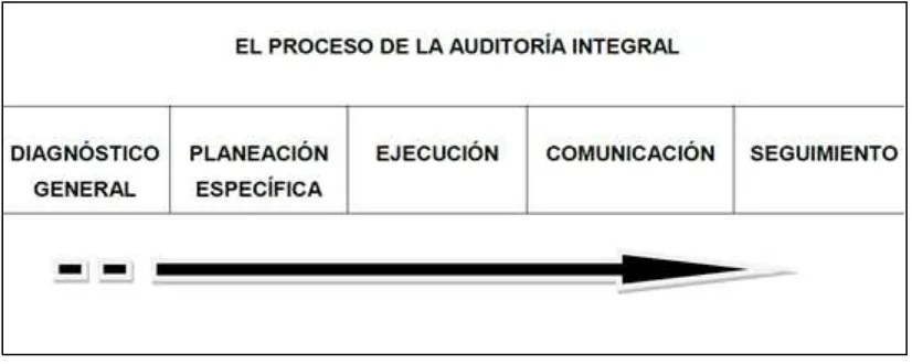 Figura 3. Proceso de la Auditoría Integral. Fuente: León, (2010). 
