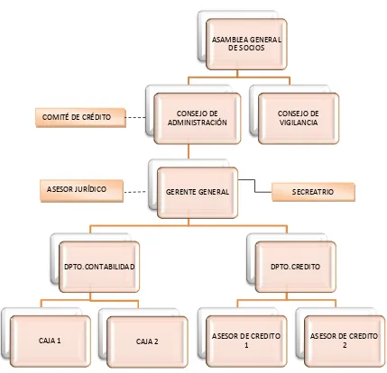 Figura 4.  Organigrama estructural de la cooperativa de ahorro y crédito  san Sebastián-LojaFuente: CAC  San Sebastián Elaborado por: Verónica Morocho 