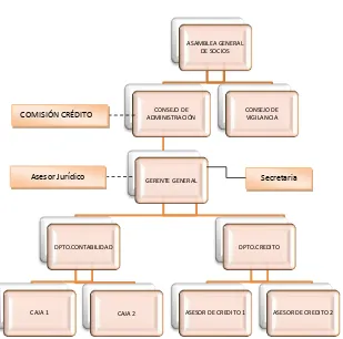 Figura 5. Estructura orgánica Simbología                       Línea de autoridad 