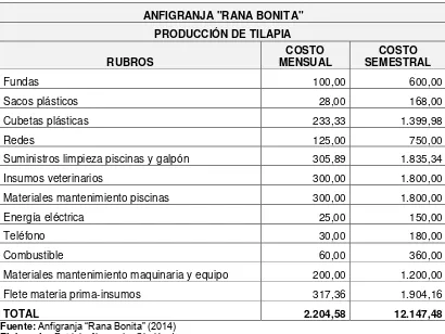 Tabla 9. Costos de materia prima indirecta producción de tilapia. 
