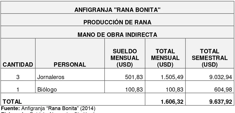 Tabla 10. Costos de mano de obra indirecta producción de rana.  