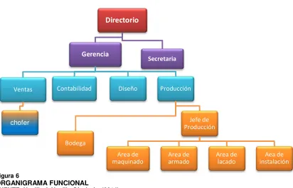 Figura 6 ORGANIGRAMA FUNCIONAL 