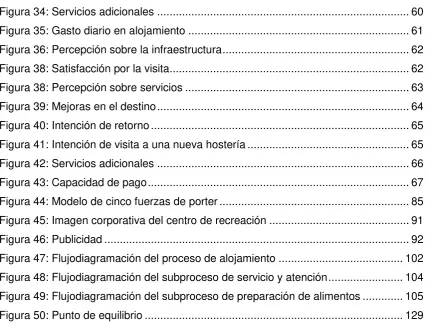 Figura 34: Servicios adicionales ................................................................................