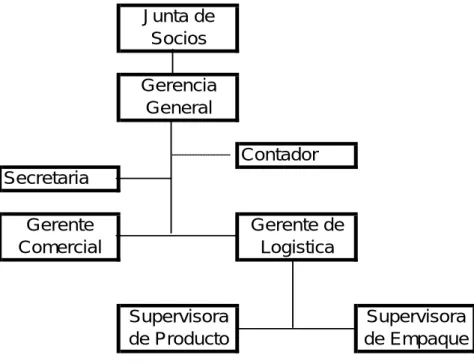 Gráfico 6.1.1 