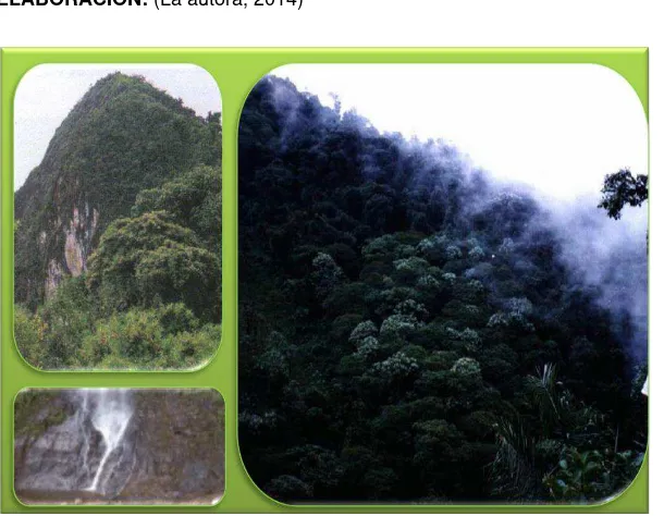 Tabla 27: Datos generales de ubicación y geo-referenciación del atractivo Bosque Protector Peña Blanca 