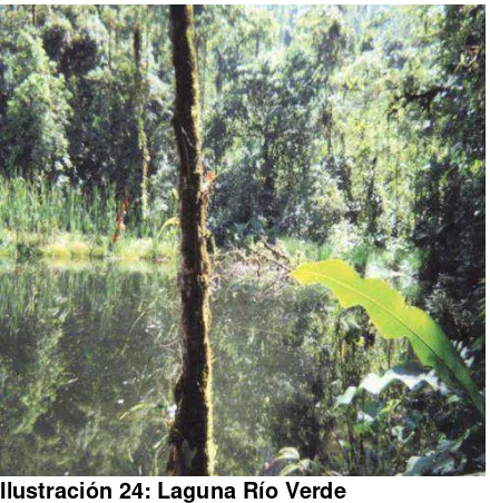 Tabla 30: Datos generales de ubicación y geo-referenciación del atractivo Laguna de Río Verde  