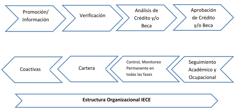Figura # 8 