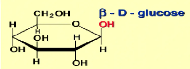 Figura 2. Molécula de glucosa tipo Beta 