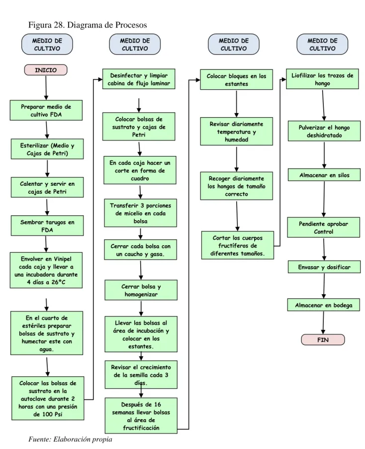Figura 28. Diagrama de Procesos