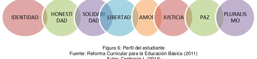Figura 6: Perfil del estudiante Fuente: Reforma Curricular para la Educación Básica (2011) 