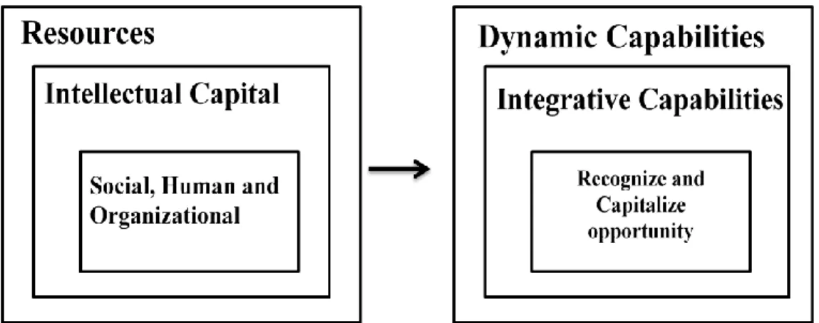 Figure 1. Disaggregated Resources – Dynamic Capabilities Relationship