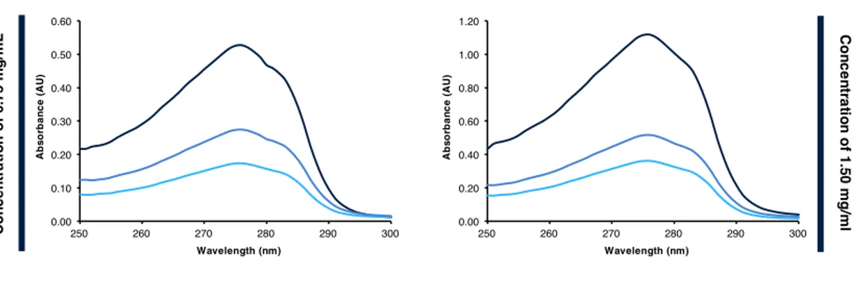 Figure 2.2.2: Absorbance spectra of RNase A and its polymer conjugates at equivalent concentrations  of  0.75  and  1.50  mg/mL  of  protein