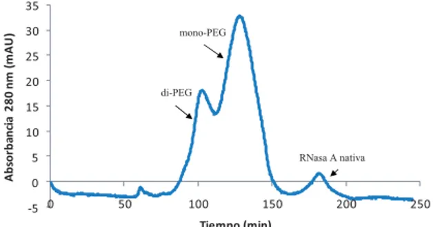 Fig. 5: Separaci´ on de Ribonucleasa A nativa de sus formas mono- y di-PEGiladas utilizando  Cro-matograf´ıa de Exclusi´ on Molecular (tomado de Cisneros-Ruiz, 2006).