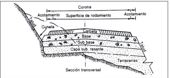 Ilustración 13: Sección Transversal típica de una carretera 