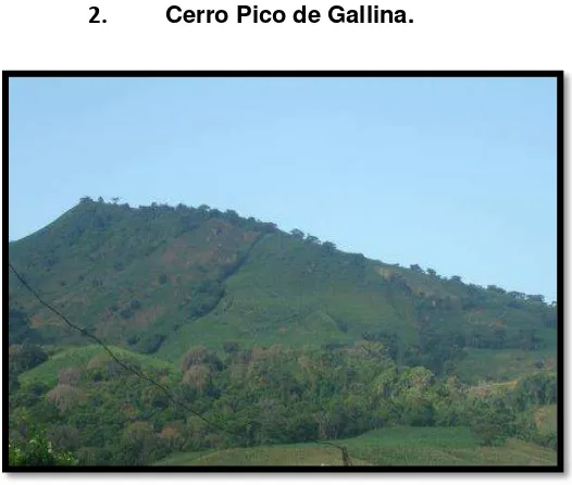 Tabla 15.Datos Generales de ubicación y georeferenciación del atractivo “Cerro Pico de Gallina”