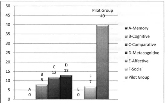 Figure Bl. The Strategy Frequency Use of the Pilot Group. 