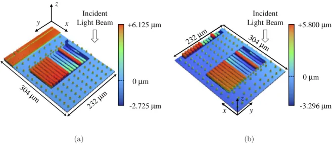 Figure 4.4: Interferometric surface profiles of the elements in the CMOS-MEMS test structures: (a) TS01 and (b) TS11 [Equipment: Veeco WYKO NT 3300 optical profiler].