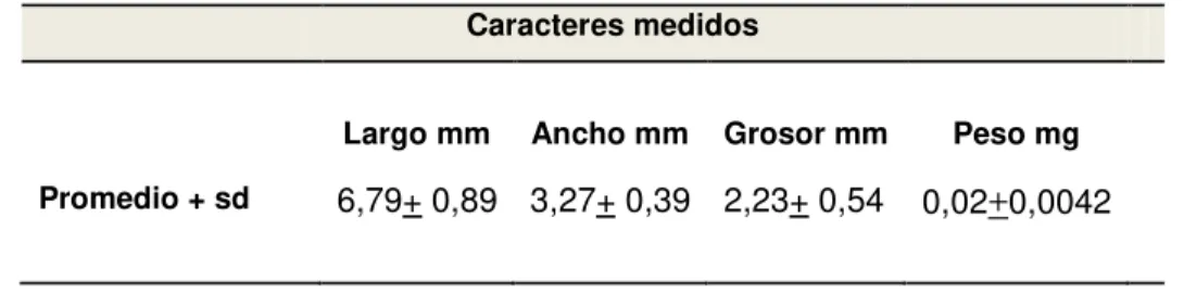 Tabla 7. Promedio y desviación estándar de: largo, ancho, grosor y peso de  embriones de C