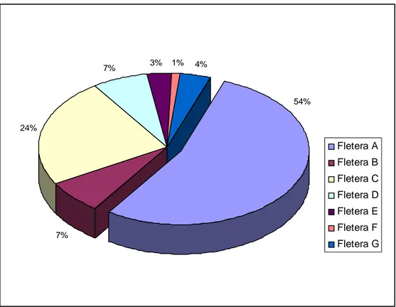 Figura 2.2 Porcentaje de participación de compañías fleteras en la distribución de  producto hacia los centros de distribución 