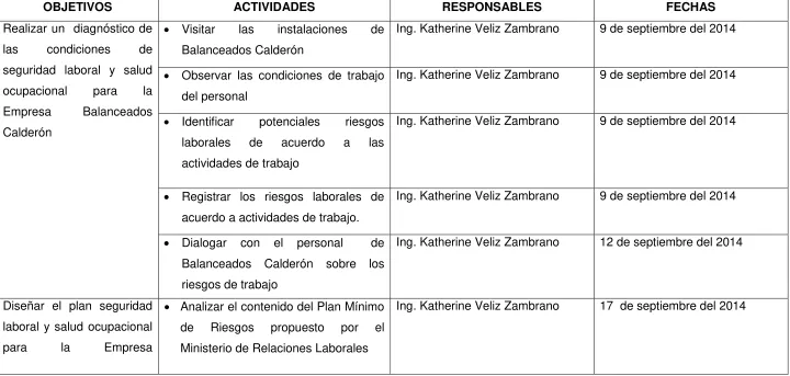 Cuadro Nº  2  Plan de acción  