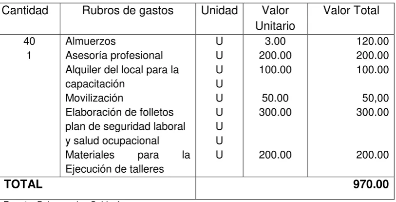 Cuadro Nº  3 Presupuesto  