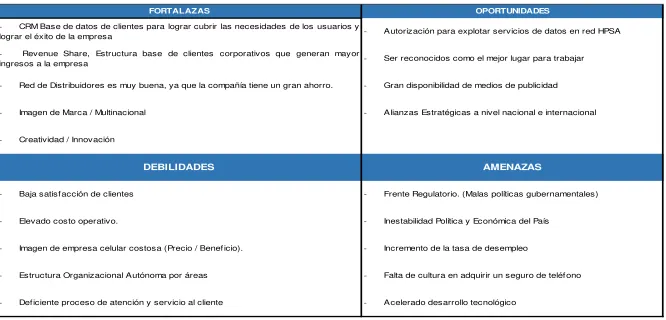 Cuadro 8: Matriz FODA. 