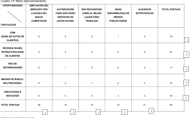 Cuadro 10: Matriz Aprovechamiento. 