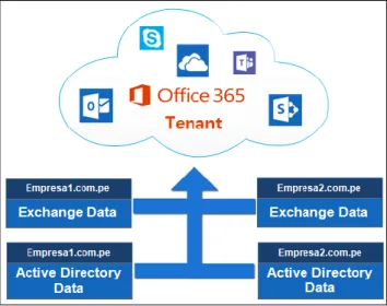 Figura 10. Office 365 Tenant. 