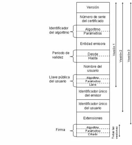 Figura 3-1 Formato del certificado X.509 