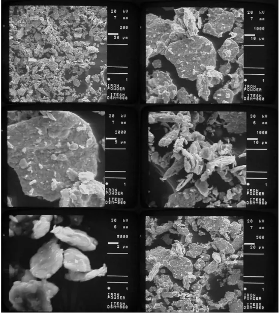 Figure 3.5 Iron Powder Micrographs 