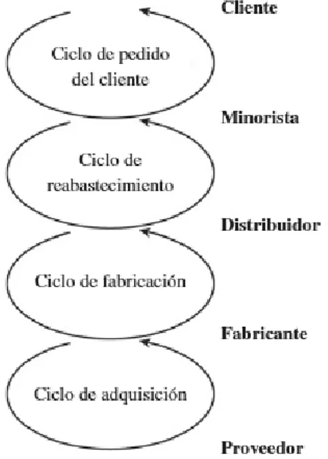 Figura 3. Ciclos de los procesos de la cadena de suministros.  