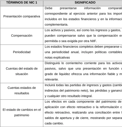 CuadroN° 4 .-  Resumen de términos NIC 1 
