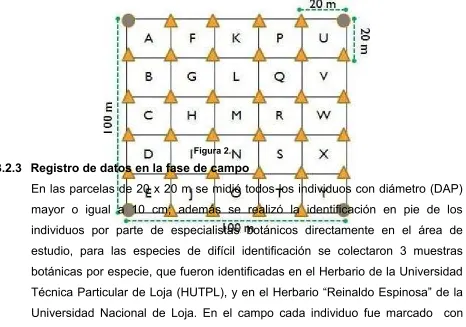 Figura 2. 