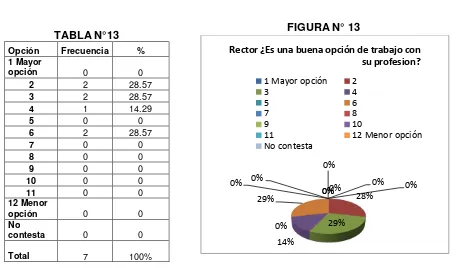 FIGURA N° 13 