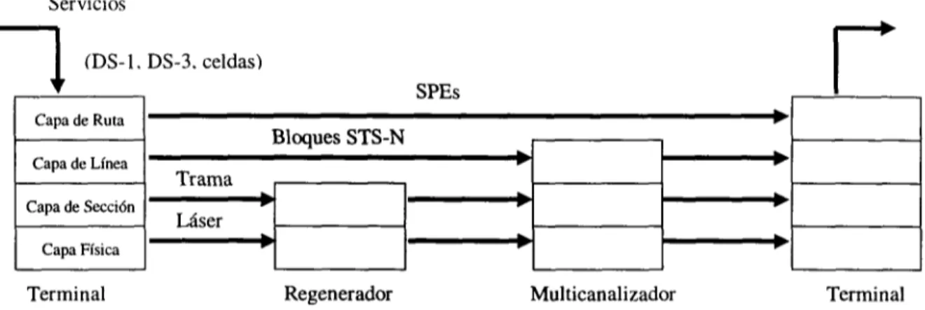 Figura 2.3 Jerarquía lógica SONET/SDH