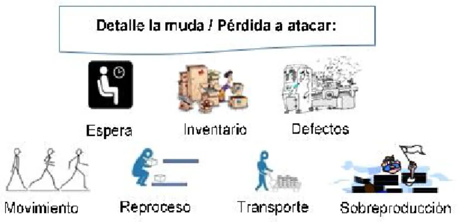 Ilustración 1. Mudas . 