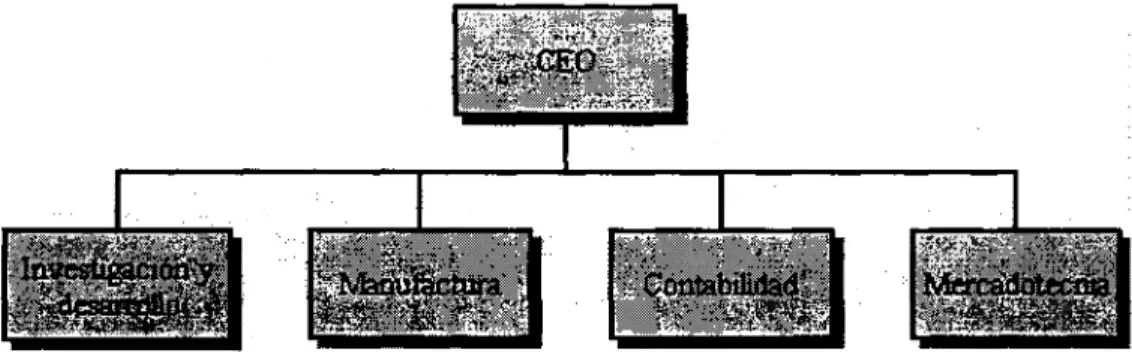 Figura 2.1 Modelo de una estructura funcional. Fuente: Dan, 1998.