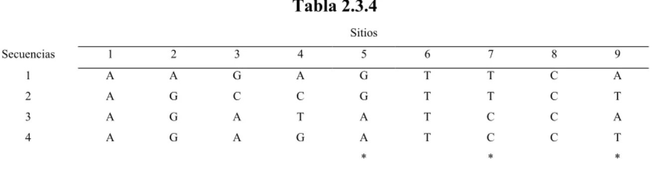 Tabla 2.3.4   Sitios  Secuencias 1 2 3 4 5 6 7 8 9  1  2  3  4  A A A A  A G G G  G C A A  A C T G  G G A A  T T T T  T T  C C  C C C C  A T A T      *  *  * 