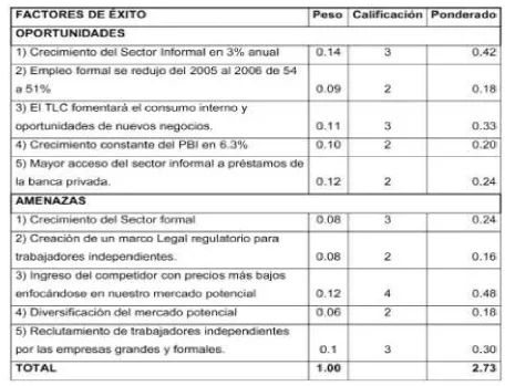 Figura 1.3 Matriz de evaluación del factor externo (EFE) 