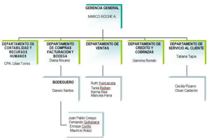 Gráfico 2. Organigrama 