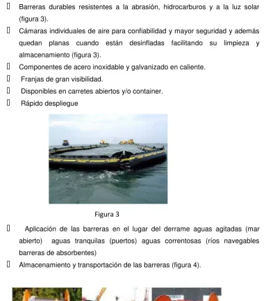 Figura 4 