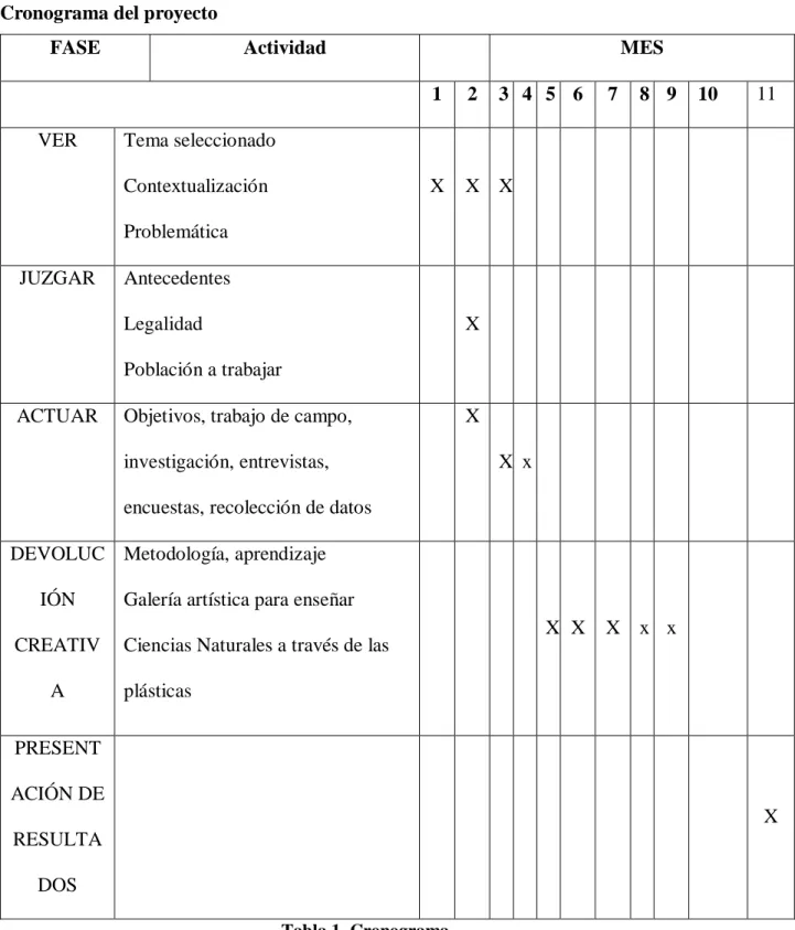 Tabla 1. Cronograma  