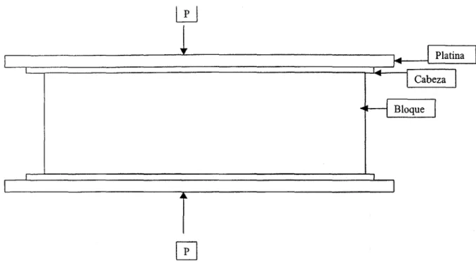Figura 2. — Esquema de la prueba de resistencia a la compresión