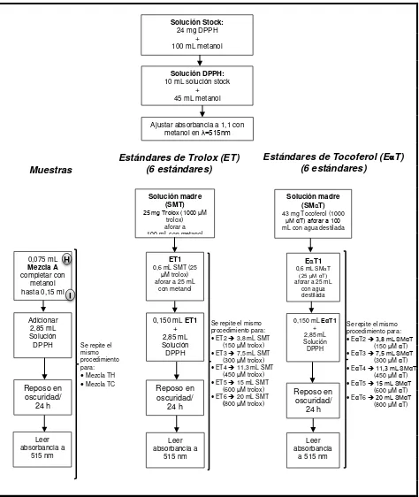 Figura 2. Determinación de actividad antioxidante mediante método DPPH. 