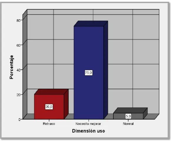 Figura 4. Medidas de frecuencia por niveles de la dimensión uso. 