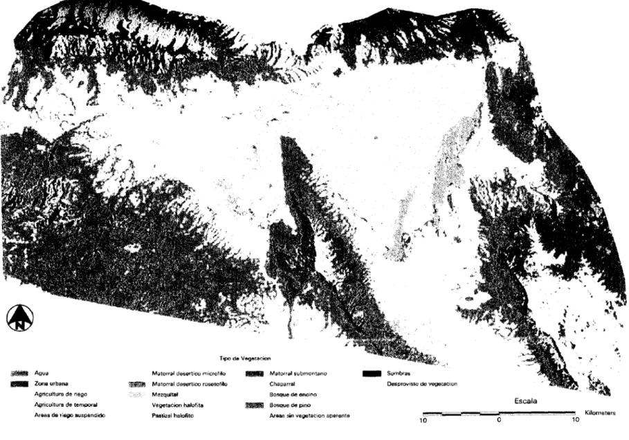 Figura 15. Clasificación de la Imagen Landsat TM-5 de Julio de 1995.