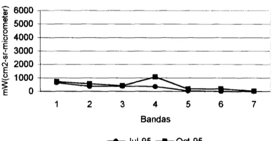 Figura 25. Valores de radianza del bosque de pino. Cuadrante de muestreo 11 (a). (a) ¿6000 1 5000 1 4000 ¿ 3000 -Jul-95 •Oct-95